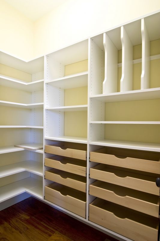 Pull-Out Shelves